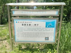 -秦皇岛野生动物园
