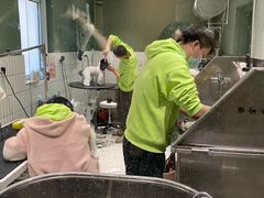 -電力宠物公司(武定路店)