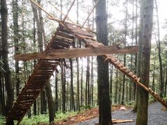 -重庆睡佛山森林公园