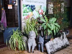 -Fresh Fruit Factory - Fruit Cuisine Restaurant