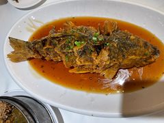 老济南糖醋鲤鱼-金春禧(世茂国际广场店)