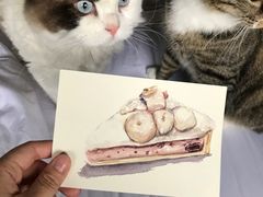 -Pie Bird(新闸路店)
