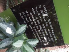 iphone_upload_pic-西安世博园