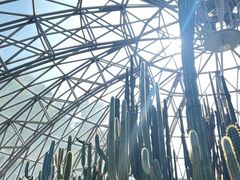 -深圳仙湖植物园
