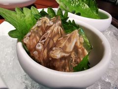 -CHIC1699远洋私厨