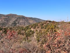 -香山公园