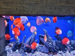 -威海华夏城景区