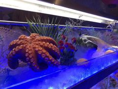 -星河湾半岛酒店·意咖啡西餐厅