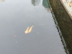 -西北湖绿化广场