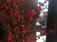 -VOYAGE COFFEE(北锣鼓巷店)