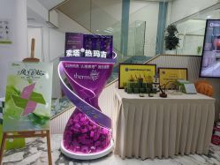 -杭州奥拉克医疗美容门诊部