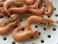 -港畔赶海蒸汽海鲜烧烤自助(仙螺岛店)