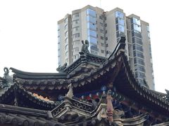 -真庆观