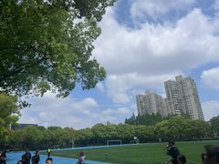 -上海市实验学校