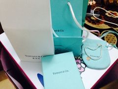 iphone_upload_pic-Tiffany & Co.蒂芙尼
(广州太古汇店)