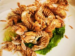 椒盐皮皮虾-天桥饭店·特色海鲜(金山嘴渔村店)
