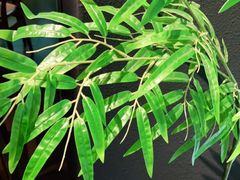 -湘邻呷铺·田园家宴(汉基广场店)