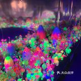 上海夏日最甜的展-掉入糖果的童话世界