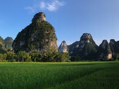 -明仕田园