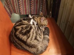 -蘭葶花酒馆(鼓楼店)