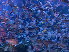 -成都浩海立方海洋公园