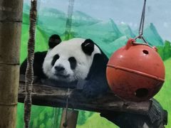 -柳州市动物园