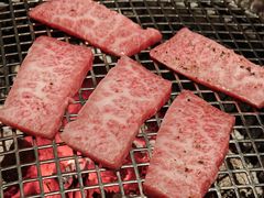 -300杯·和牛烧肉清酒专门店(廊里店)