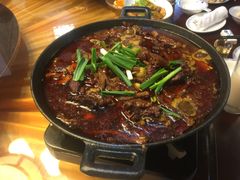 -农轩·醉黄冈