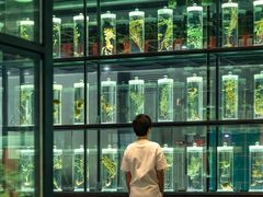 -广东中医药博物馆