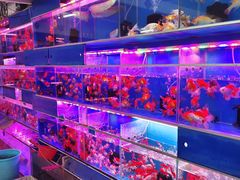 -清平路水族市场