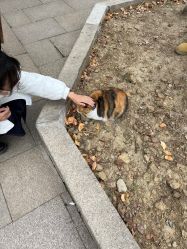 -本真坊美容美体沙龙