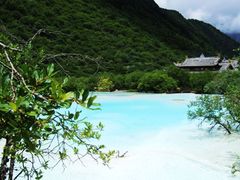 -黄龙山原始森林景区