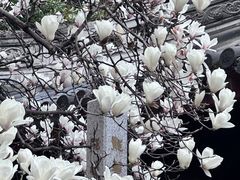 -龙华寺