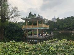 -晓港公园