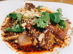 -龙抄手食府(浣花北路店)