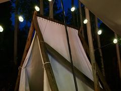 -桉树林A coffee 森林餐厅(三圣乡店)