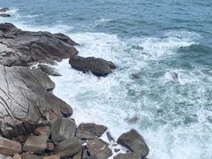 -广东惠东海龟国家级自然保护区