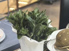 -喜聚薈·花膠雞海鮮火鍋(越秀店)