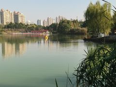 -青枫公园