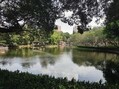 -晓港公园