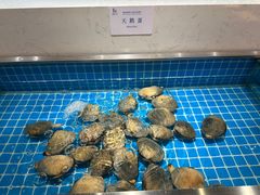 -腾阁自助餐厅(朝林广场店)