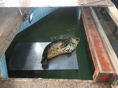 -大明湖海底世界