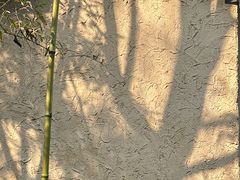 -法云安缦酒店
