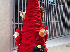 -润园四季椰子鸡火锅(南山海岸城店)