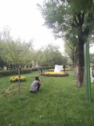 点击看大图 -唯一视觉婚纱摄影(李家村店)
