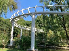 -上海共青森林公园