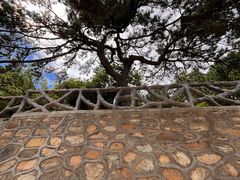 -北京西山国家森林公园