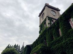 -半岛公馆(淞兴西路店)