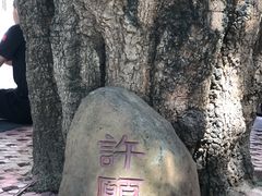-长洲岛