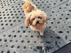 -蓟县盘山滑雪场